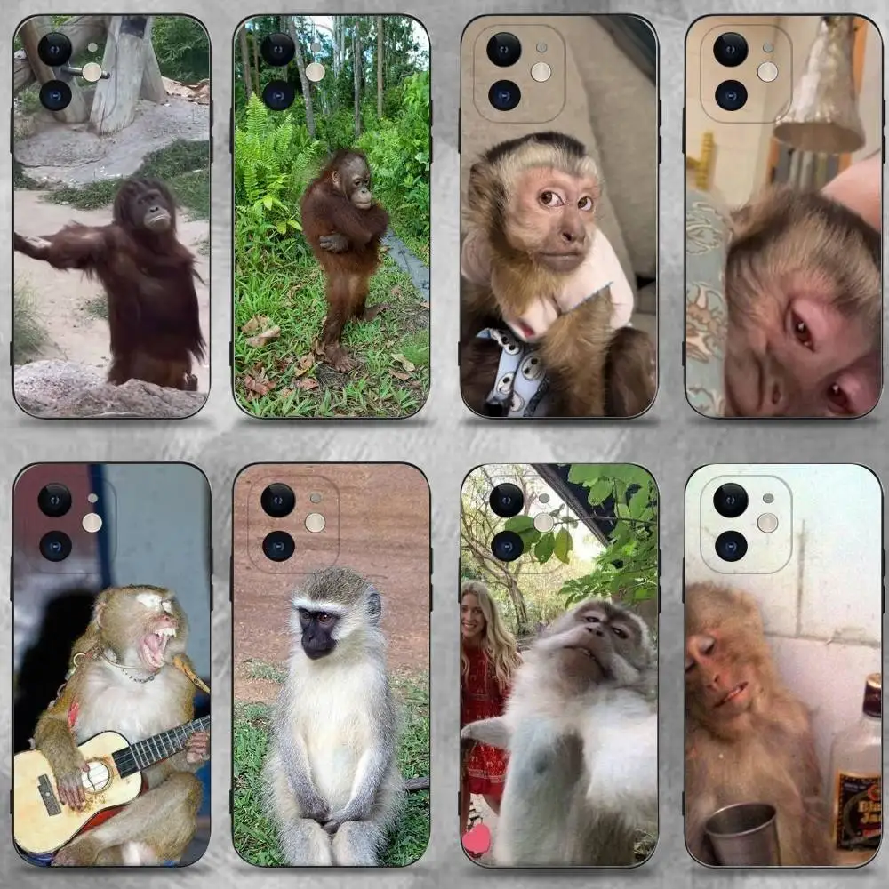 Funny Monkey Phone Case For iPhone 16,15,14,13,12,11 Plus,Pro Max,XS,X,XR,SE,Mini,8,7,Soft Silicone Black Cover 
Funny Monkey Phone Case For iPhone 16,15,14,13,12,11 Plus,Pro Max,XS,X,XR,SE,Mini,8,7,Soft Silicone Black Cover