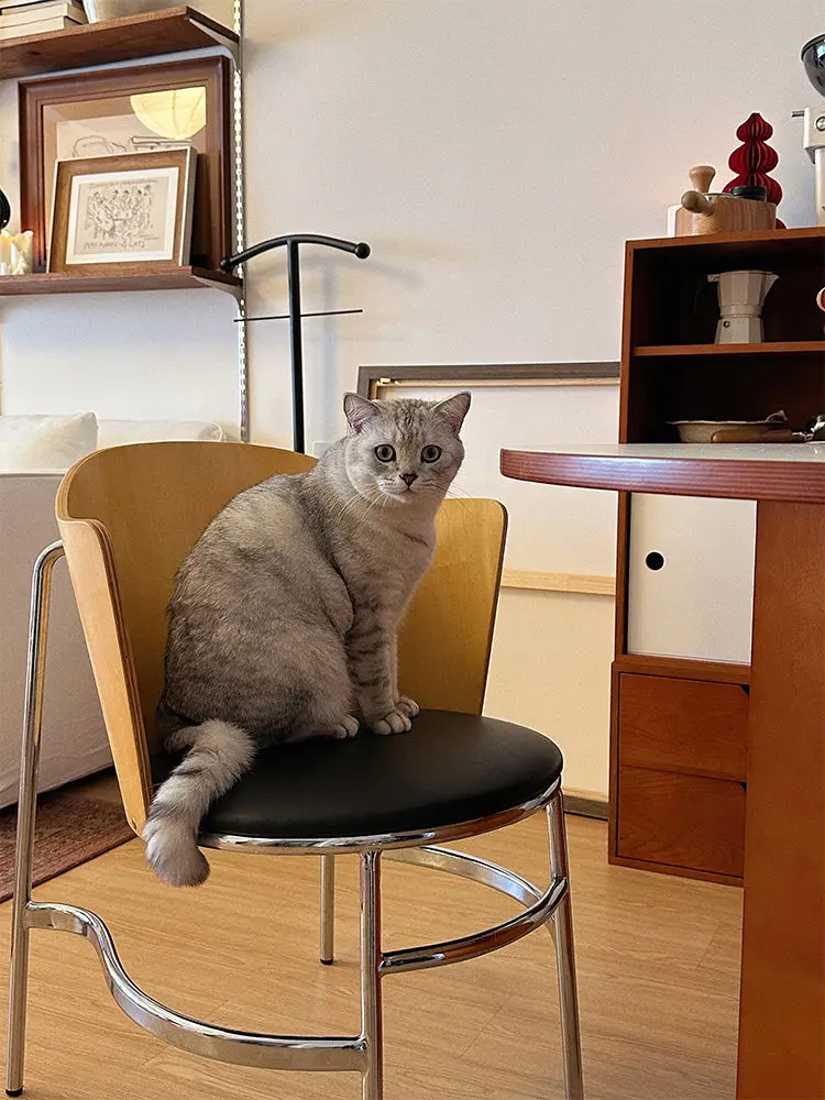 Nordic Light Luxury Restaurant Dining Chair Small Household Designer Casual Single Simple Cafe Chair Makeup Chairs
Nordic Light Luxury Restaurant Dining Chair Small Household Designer Casual Single Simple Cafe Chair Makeup Chairs