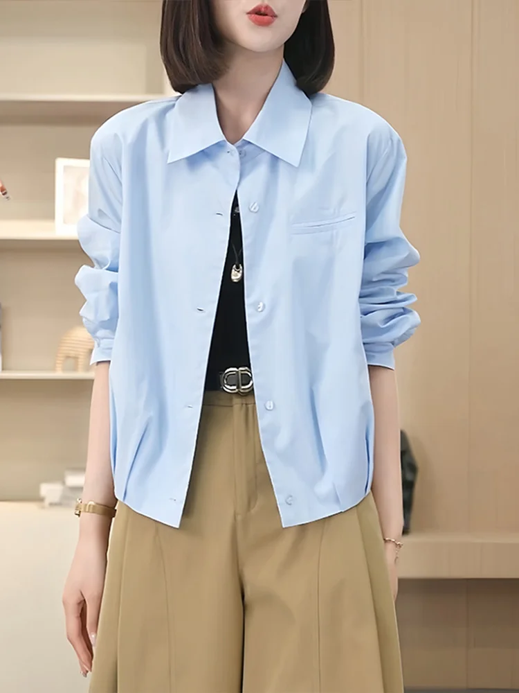 Korean Style Commuter Casual Women's Shirt Collar Drawstring Design Blue Long Sleeve Breathable Skin-Friendly
Korean Style Commuter Casual Women's Shirt Collar Drawstring Design Blue Long Sleeve Breathable Skin-Friendly