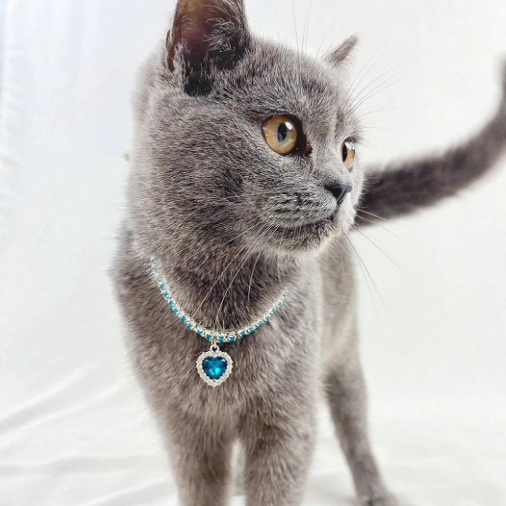 Love Pendant, Rhinestone Pet Necklace, Three Rows of Cat and Dog Accessories, Pet Collar Supplies Accessories
Love Pendant, Rhinestone Pet Necklace, Three Rows of Cat and Dog Accessories, Pet Collar Supplies Accessories