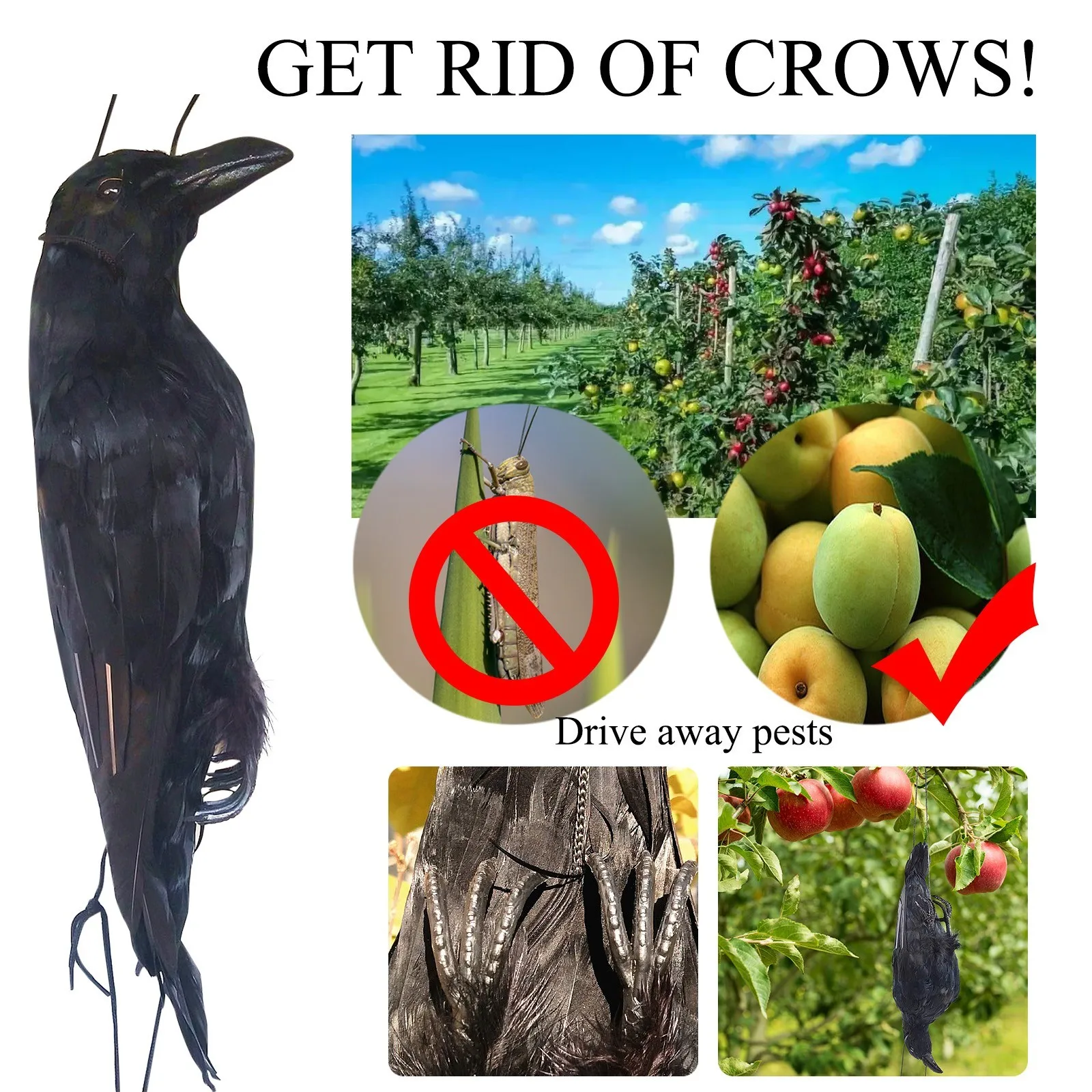 Realistic Hanging Dead Crow Lifesize Extra Large Black Feathered Crow Glass Sunflower Ornament
Realistic Hanging Dead Crow Lifesize Extra Large Black Feathered Crow Glass Sunflower Ornament