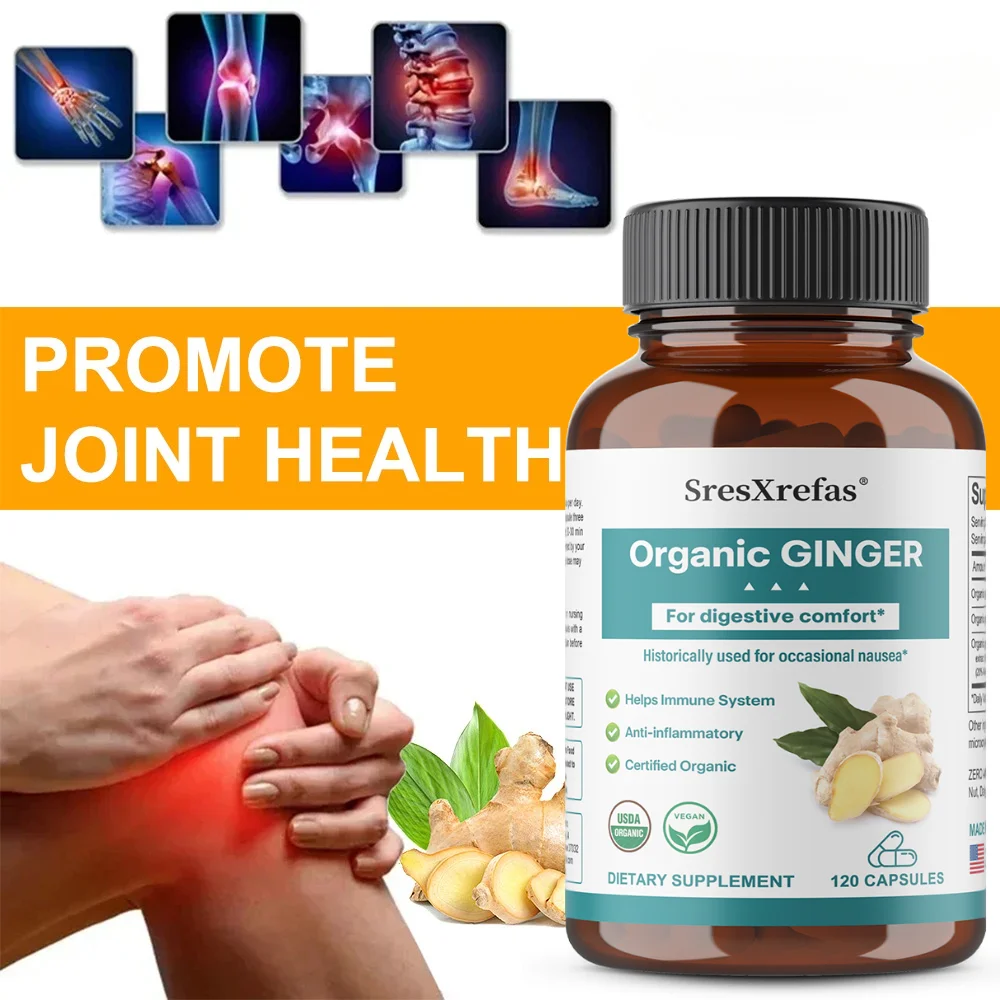 Organic Ginger Capsules, Natural Plant-Based Daily Digestive Balance and Body Wellness Wellness Supplement, Vegan, Non-GMO
Organic Ginger Capsules, Natural Plant-Based Daily Digestive Balance and Body Wellness Wellness Supplement, Vegan, Non-GMO