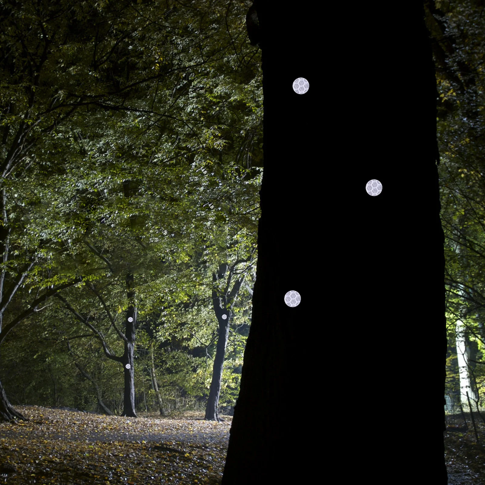 100Pcs Reflective Trail Marking Tacks Metal Thumb Tacks for Hiking Markers Reflective Pins Push Pins for Wall
100Pcs Reflective Trail Marking Tacks Metal Thumb Tacks for Hiking Markers Reflective Pins Push Pins for Wall