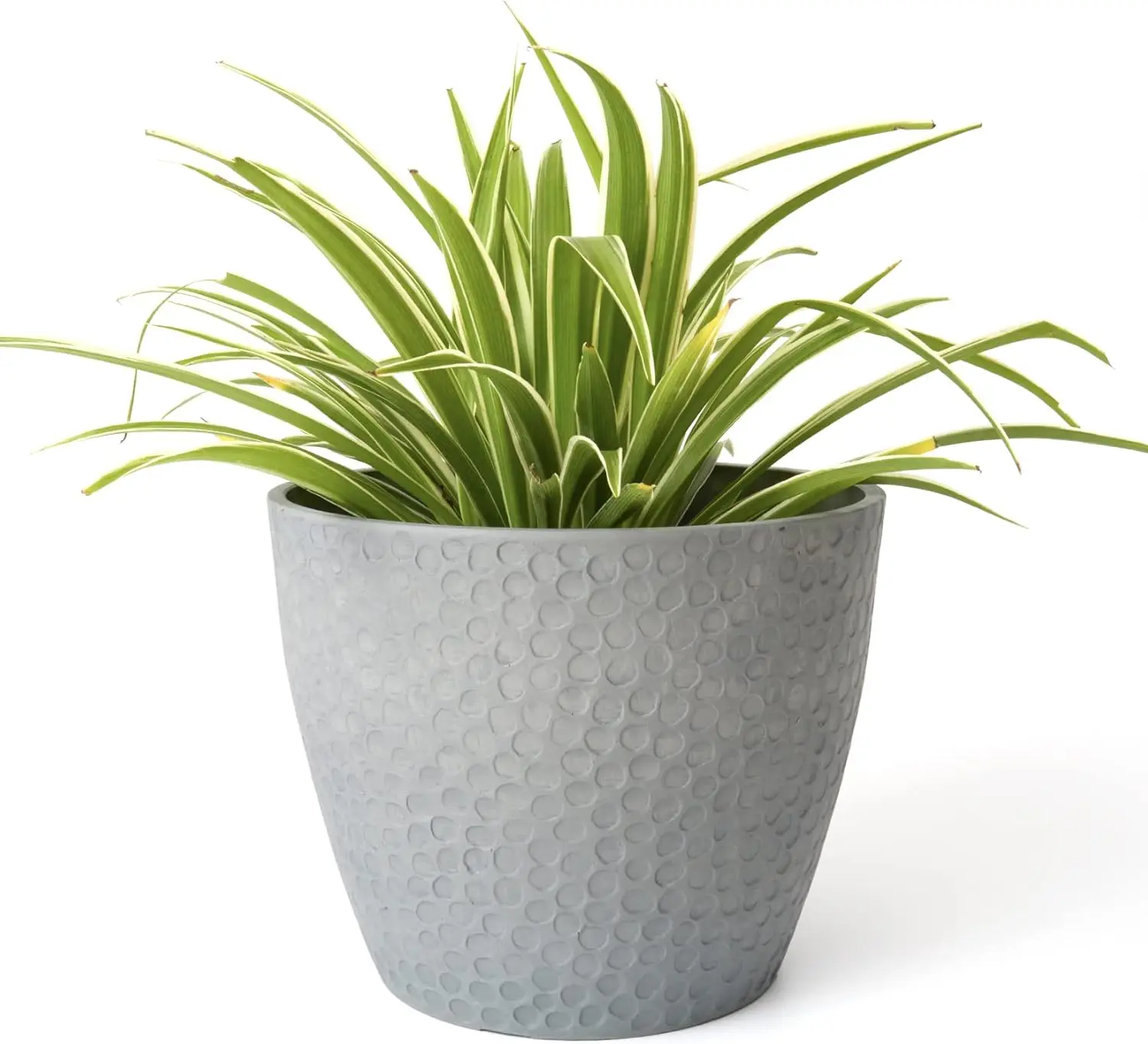 9.4 inch Planter Pot for Indoor and Outdoor Plants, Modern Chic Planter,Honeycomb Pattern,Storm Gray
9.4 inch Planter Pot for Indoor and Outdoor Plants, Modern Chic Planter,Honeycomb Pattern,Storm Gray
