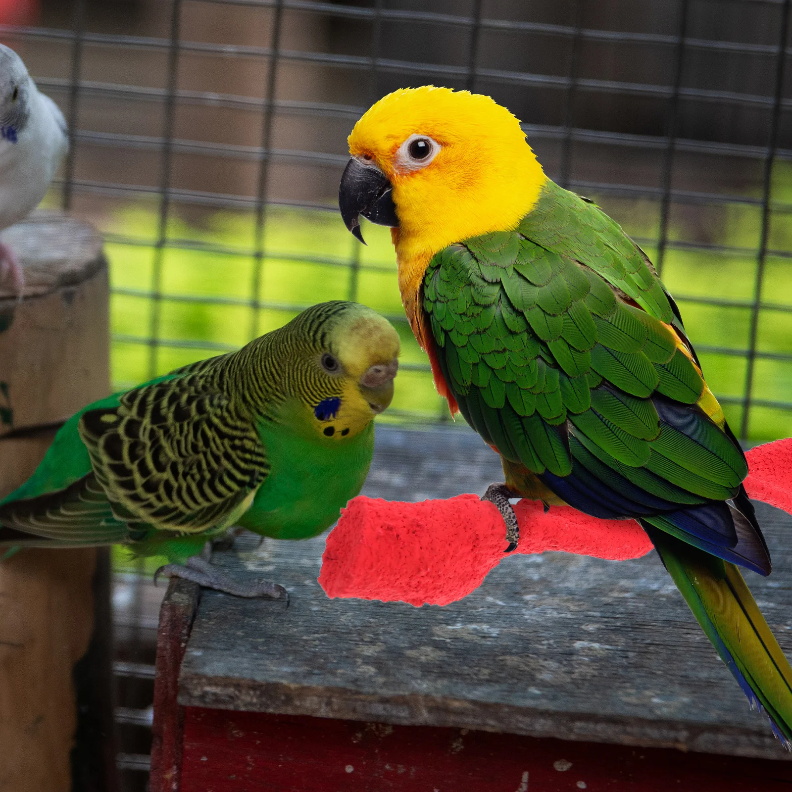 Grinding Stick For Birds Natural Beak Nail Trimming Bird Perch Parakeet Cage Accessories Grind Arenaceous Stick Play Rest
Grinding Stick For Birds Natural Beak Nail Trimming Bird Perch Parakeet Cage Accessories Grind Arenaceous Stick Play Rest