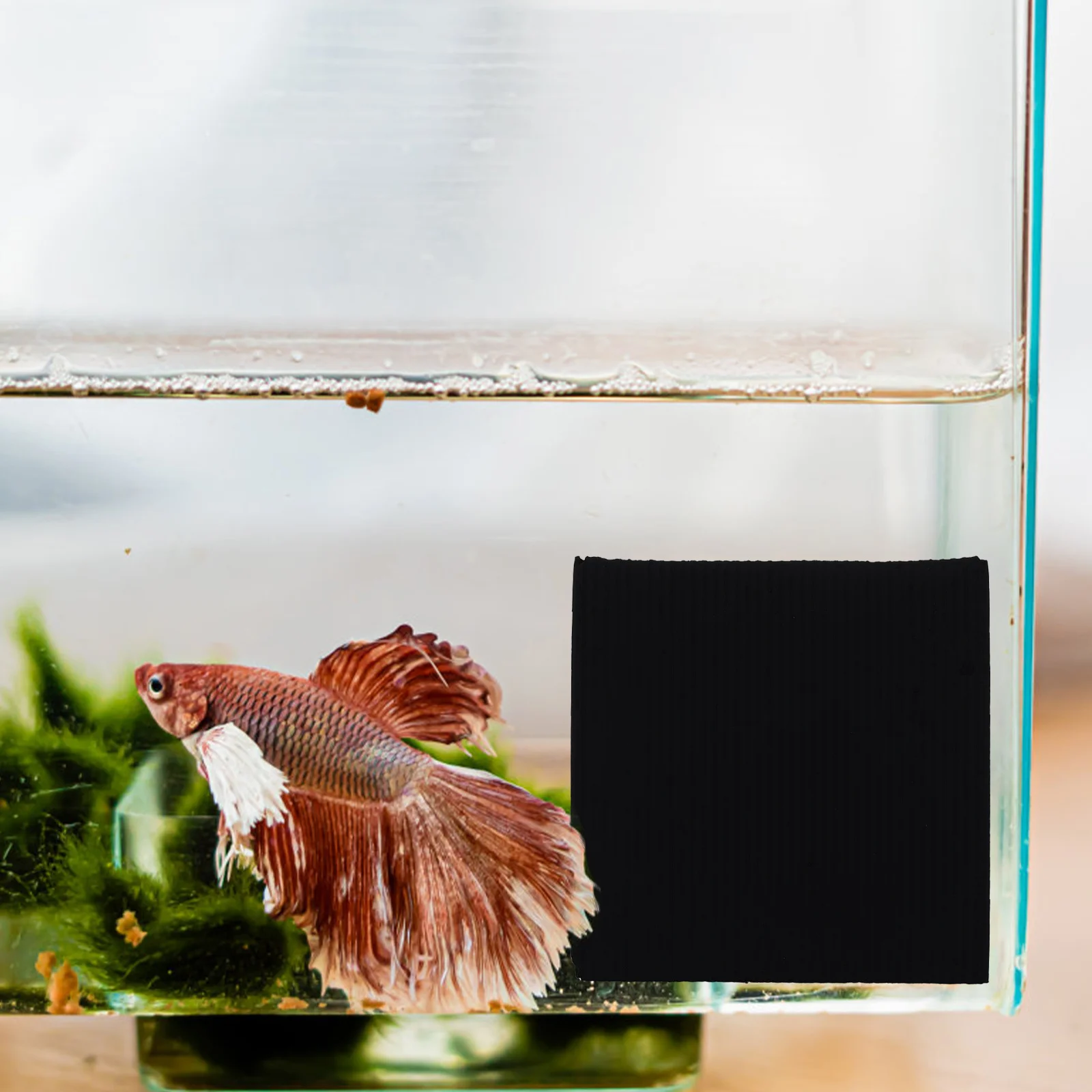 Net Water Purifier Cube Aquarium Activated Carbon Filter Fish Tank Supply Cleaner Water Purification Cube Aquarium Filtration
Net Water Purifier Cube Aquarium Activated Carbon Filter Fish Tank Supply Cleaner Water Purification Cube Aquarium Filtration