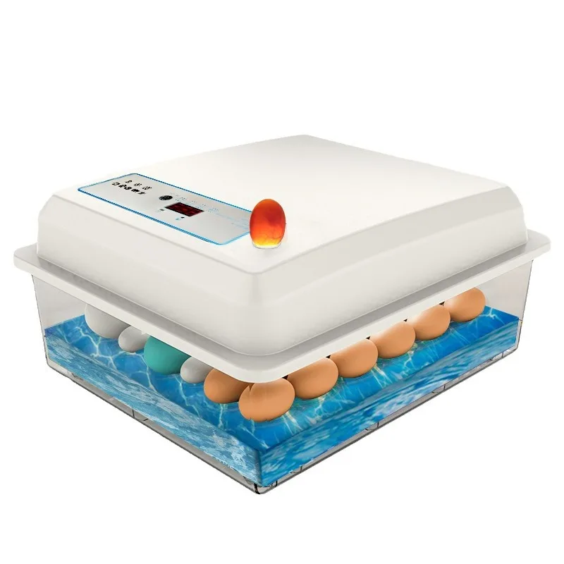 Incubator Automatic Small Household Water Bed Incubator Chicken Duck Goose Pigeon Peacock Incubator
Incubator Automatic Small Household Water Bed Incubator Chicken Duck Goose Pigeon Peacock Incubator