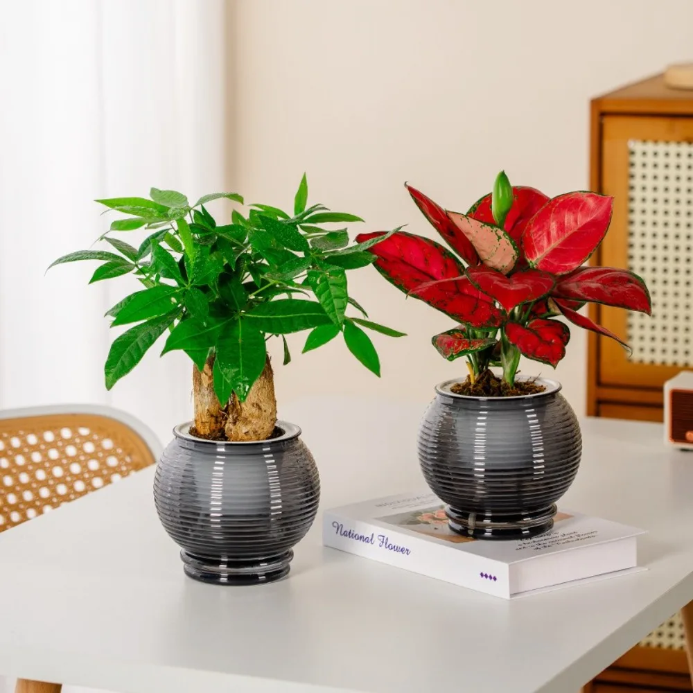 Creative Self Watering Hydroponic Plants Pot Plastic Removable Mini Succulent Planter Tabletop Vase Office Bonsai Decor
Creative Self Watering Hydroponic Plants Pot Plastic Removable Mini Succulent Planter Tabletop Vase Office Bonsai Decor