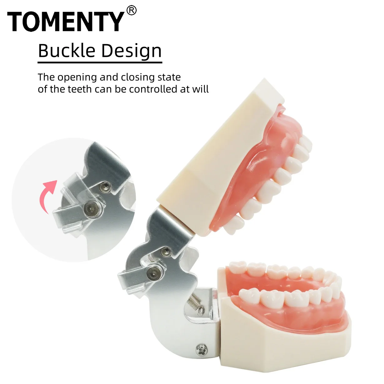 TOMENTY 28/32 модель зубов, стоматологическая модель, практика челюсти, модель головы Typodont, обучающая модель зубов с мягкой резинкой, тренировочный дисплей
TOMENTY 28/32 модель зубов, стоматологическая модель, практика челюсти, модель головы Typodont, обучающая модель зубов с мягкой резинкой, тренировочный дисплей