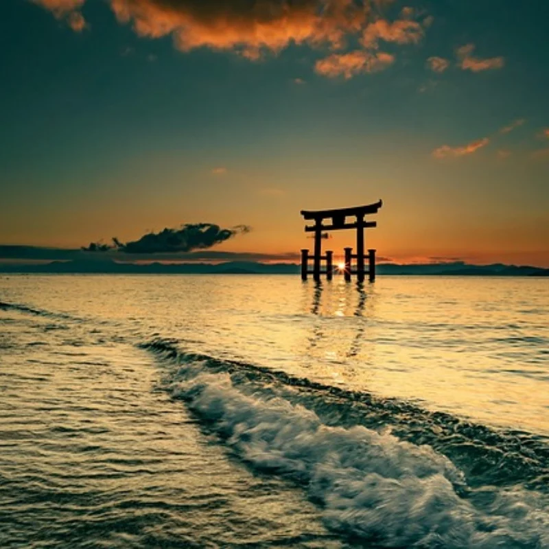 Металлические запасные части, подходящие для радиоуправляемых автомобилей MJX 1/14 1/16 и SCY 1/16. Обновление гаек, рукавов, адаптеров 12 мм.
Металлические запасные части, подходящие для радиоуправляемых автомобилей MJX 1/14 1/16 и SCY 1/16. Обновление гаек, рукавов, адаптеров 12 мм.