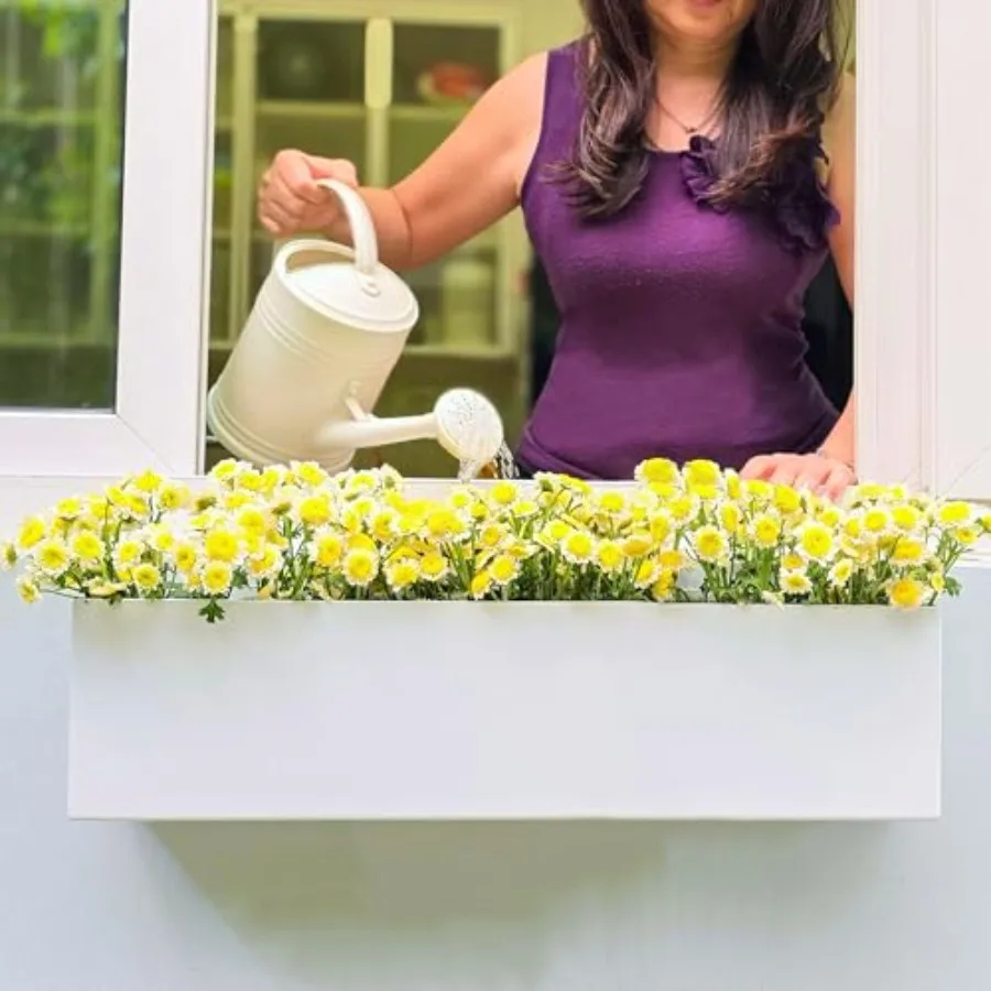 LaLaGreen Wall Planter 24 Inch 2 Pack Carbon Steel White Metal Hanging Flower Pot for Succulents Wall Mount Rectangular Window
LaLaGreen Wall Planter 24 Inch 2 Pack Carbon Steel White Metal Hanging Flower Pot for Succulents Wall Mount Rectangular Window