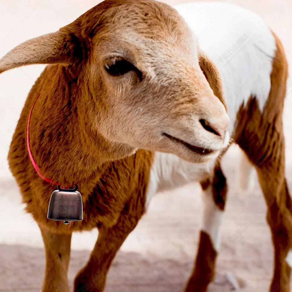 1Set Vintage Loud Grazing Bell Metal Farm Cattle Cow Sheep Horse Anti-Theft Hanging Bell Durable Grazing Supply 
1Set Vintage Loud Grazing Bell Metal Farm Cattle Cow Sheep Horse Anti-Theft Hanging Bell Durable Grazing Supply