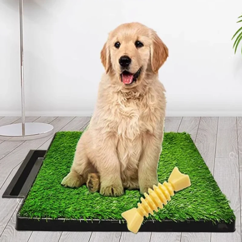 Dog Toilet Lawn Drawer Style Dog Grass Mat - Reusable Odor-Control Artificial Lawn for Pet Training Kitten Urine Cleaning Tool
Dog Toilet Lawn Drawer Style Dog Grass Mat - Reusable Odor-Control Artificial Lawn for Pet Training Kitten Urine Cleaning Tool
