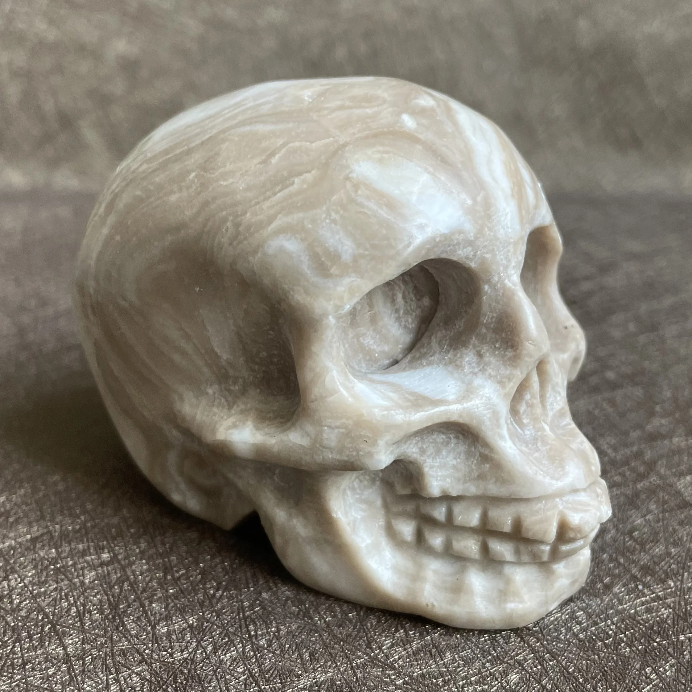 359g Natural Petrified Wood Skull Crystal Polished Rock Alien Carving Healing Reiki
359g Natural Petrified Wood Skull Crystal Polished Rock Alien Carving Healing Reiki