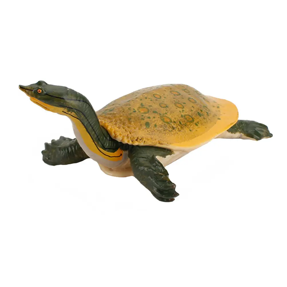 1Pcs Realistic Simulation Freshwater Turtle Educational Animal Learning Tool for Kids Nature Exploration Home Decoration
1Pcs Realistic Simulation Freshwater Turtle Educational Animal Learning Tool for Kids Nature Exploration Home Decoration