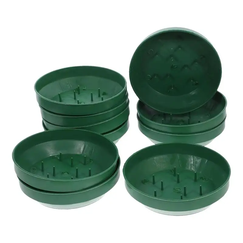 Floral Foam Cage Floral Containers For Arrangements 10x Modern Reusability Flower Mud Fixing Plate For Party Wedding Festival
Floral Foam Cage Floral Containers For Arrangements 10x Modern Reusability Flower Mud Fixing Plate For Party Wedding Festival