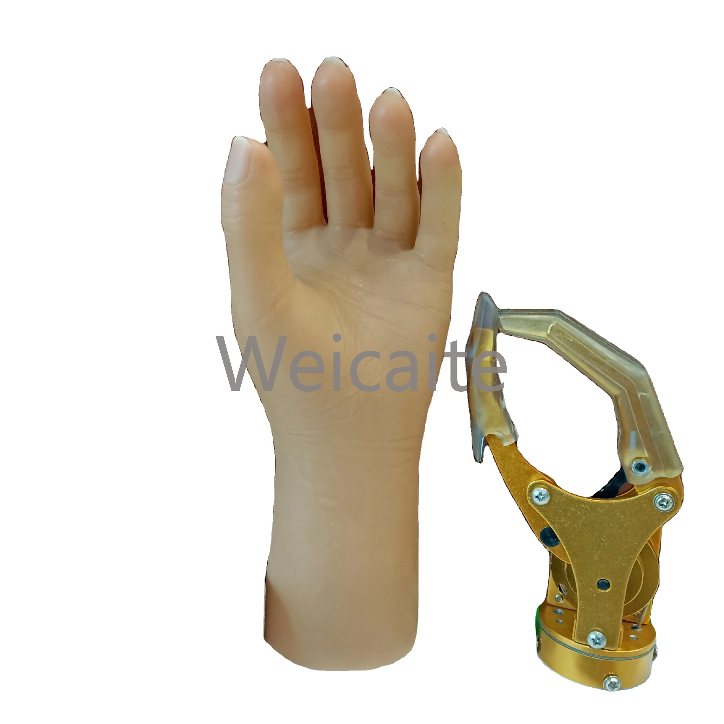 Medical Prostheses, Orthopedic Implants, Cable Control Manipulators, Silicon Artificial Hands
Medical Prostheses, Orthopedic Implants, Cable Control Manipulators, Silicon Artificial Hands