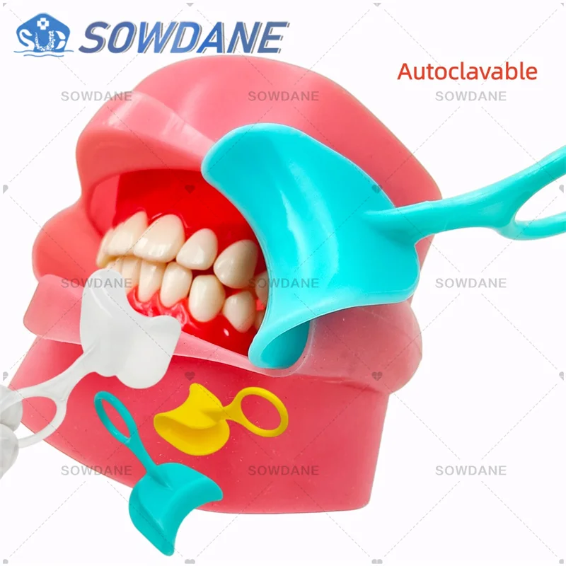 High Quality Plastic Retractor Dental Cheek Retractor Lip Opener Mouth Open Tool Clinic Oral Care Material Autoclavable
High Quality Plastic Retractor Dental Cheek Retractor Lip Opener Mouth Open Tool Clinic Oral Care Material Autoclavable