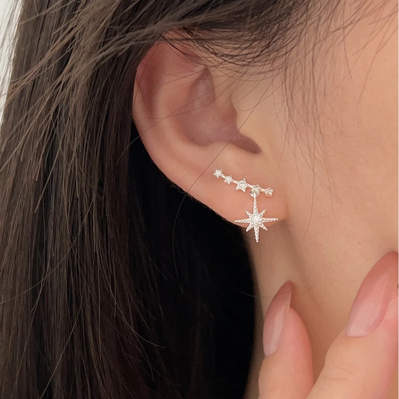 S925 pure silver octagonal star earrings for women, 2026 new trendy design, niche internet celebrity temperament earrings
S925 pure silver octagonal star earrings for women, 2026 new trendy design, niche internet celebrity temperament earrings