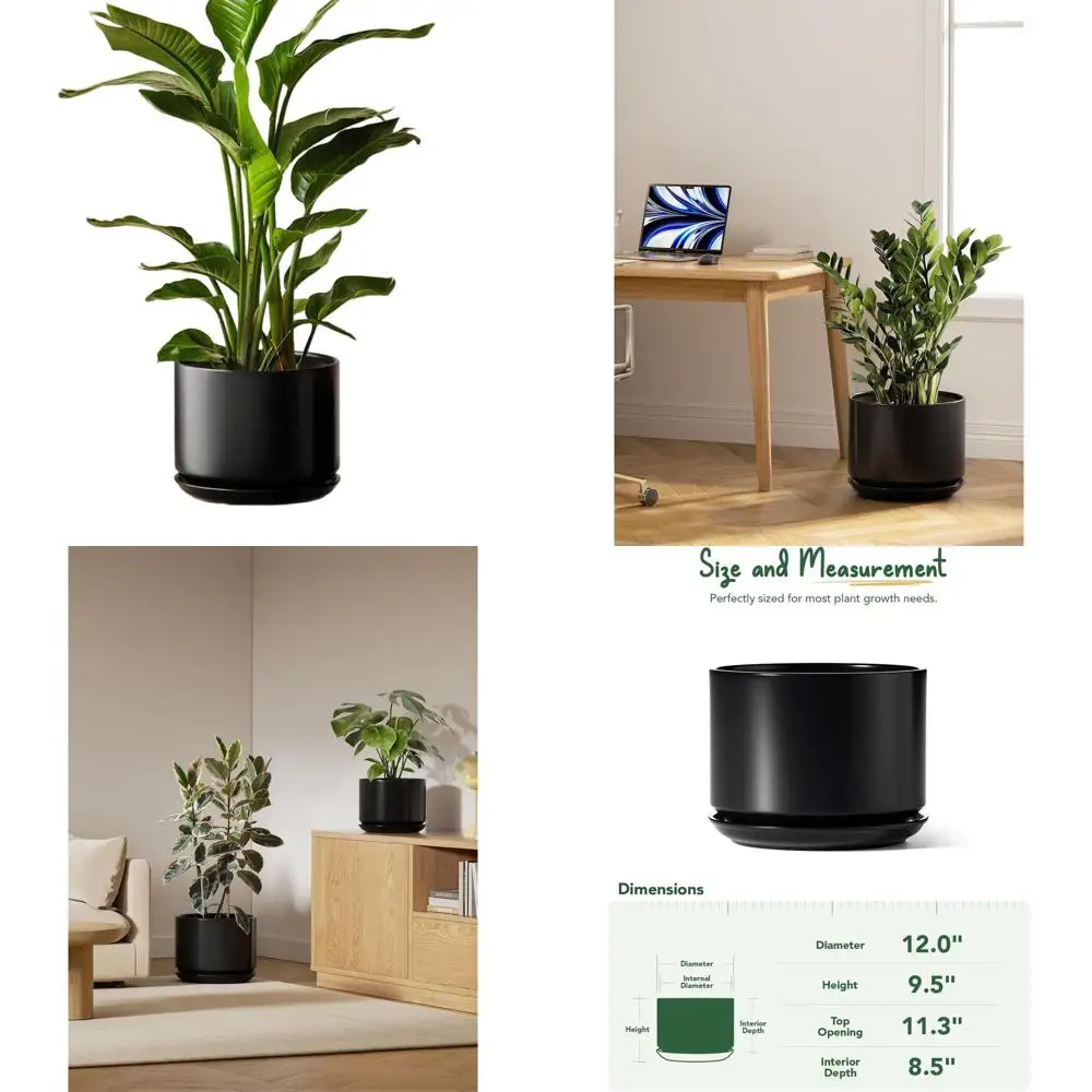12 Ceramic Planters with Drainage and Saucers, Stylish & Durable for Home or Office, Black
12 Ceramic Planters with Drainage and Saucers, Stylish & Durable for Home or Office, Black