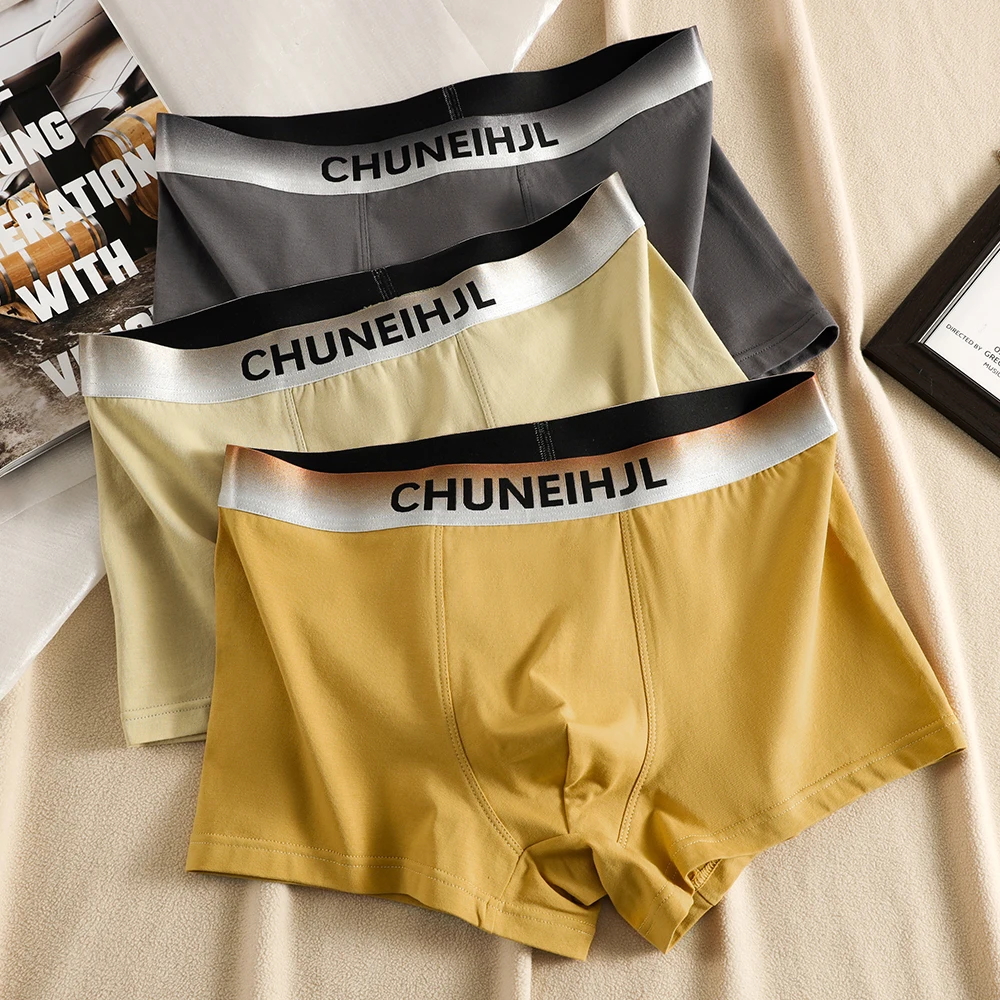 3PCS/Pack Cotton Soft Comfortable Men's Panties Breathable Hygroscopic Boxers Fashion Gradient High Elastic Waistband Underpants
3PCS/Pack Cotton Soft Comfortable Men's Panties Breathable Hygroscopic Boxers Fashion Gradient High Elastic Waistband Underpants