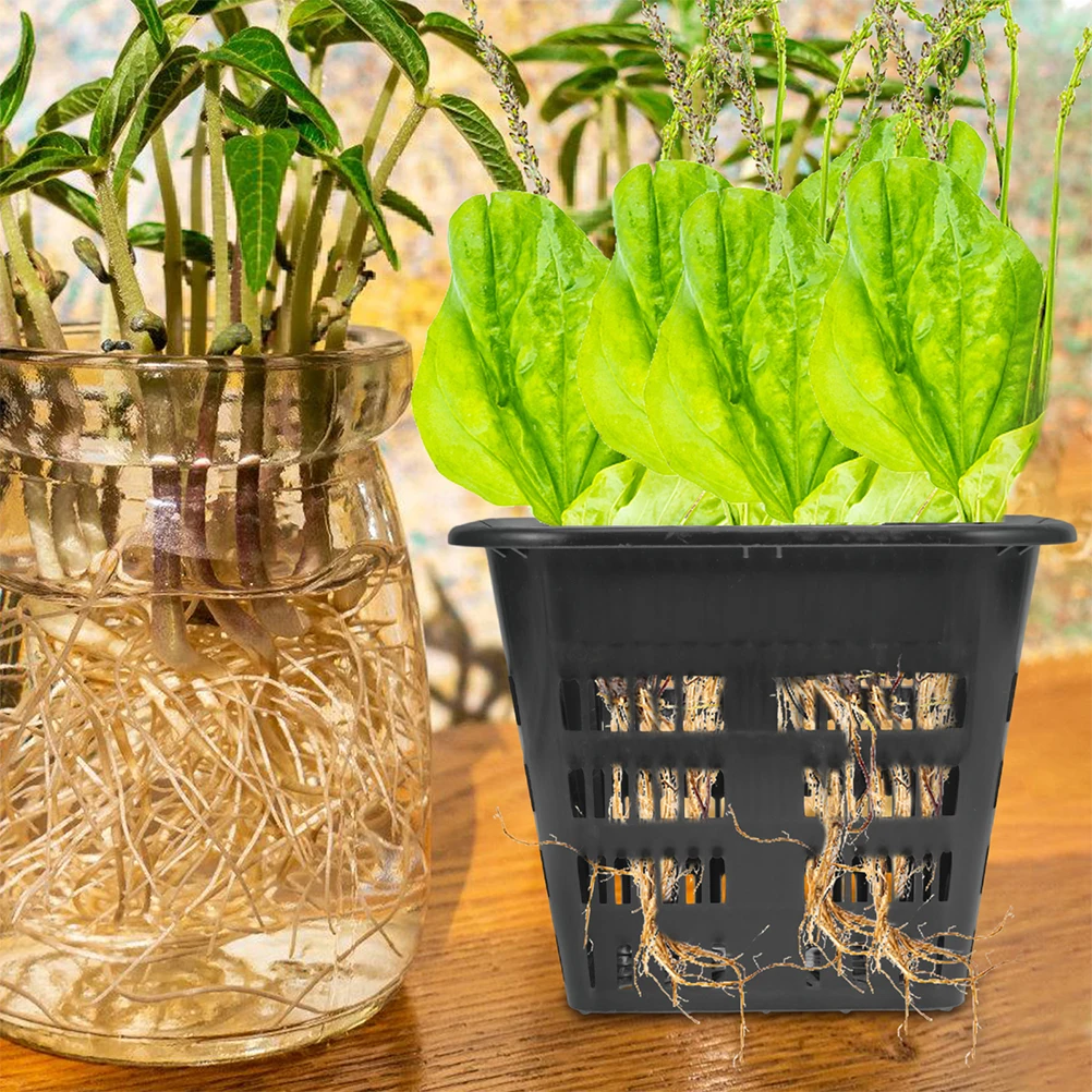 10pcs Black Hydroponic Planting Baskets Plastic Net Pots for Vegetables Plants Balcony Garden Terrace Greenhouse ABS Material
10pcs Black Hydroponic Planting Baskets Plastic Net Pots for Vegetables Plants Balcony Garden Terrace Greenhouse ABS Material