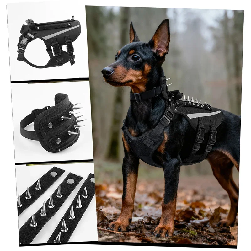Heavy-Duty Tactical Dog Harness with Reflective Strip Anti-Harassment Adjustable Protective Pet Harness for Adventure Training
Heavy-Duty Tactical Dog Harness with Reflective Strip Anti-Harassment Adjustable Protective Pet Harness for Adventure Training