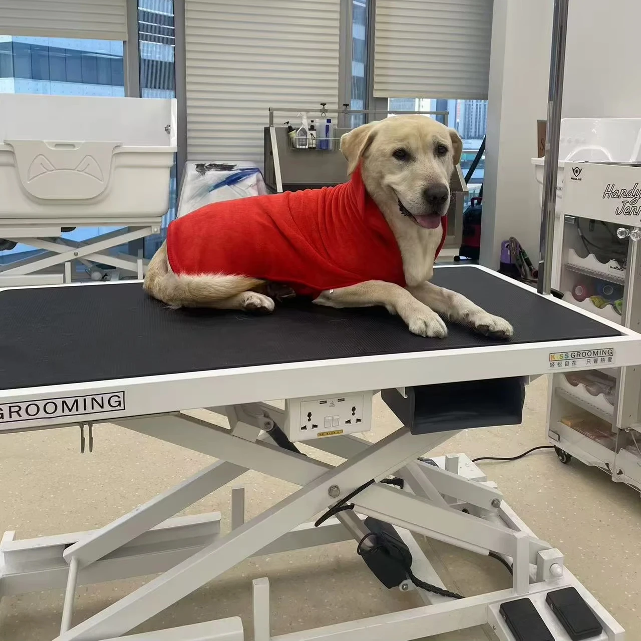 Горячая распродажа: Электрическая подъемная платформа для выставок крупных животных (кошек, собак), для зоосалонов и груминга, из резины и пластика
Горячая распродажа: Электрическая подъемная платформа для выставок крупных животных (кошек, собак), для зоосалонов и груминга, из резины и пластика