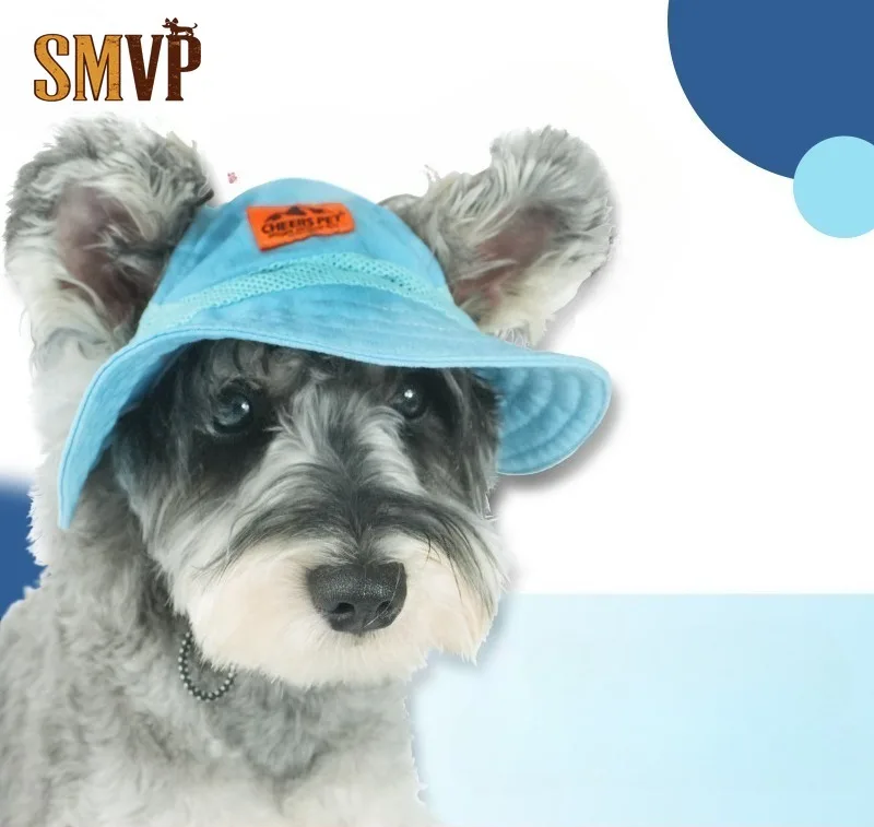 Spring and Autumn Blue Adjustable Bucket Hat Sunshade Sunscreen Small and Medium Pet Hat Going Out Supplies Dog Hat
Spring and Autumn Blue Adjustable Bucket Hat Sunshade Sunscreen Small and Medium Pet Hat Going Out Supplies Dog Hat