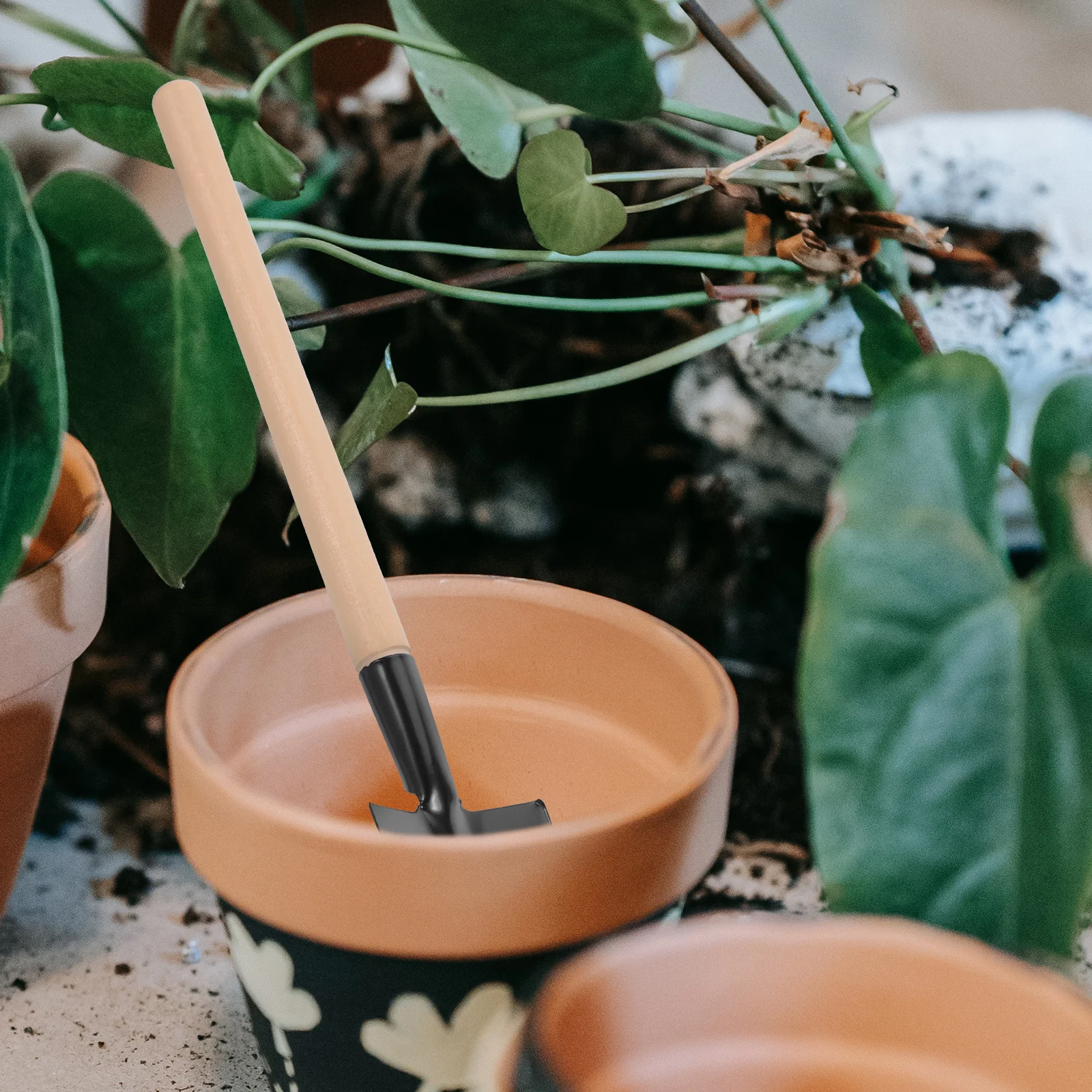 10Sets Mini Garden Tools for Transplanting Planting Digging Small Hand Rake Trowel Shovel Portable Gardening Hand Tools Wood
10Sets Mini Garden Tools for Transplanting Planting Digging Small Hand Rake Trowel Shovel Portable Gardening Hand Tools Wood