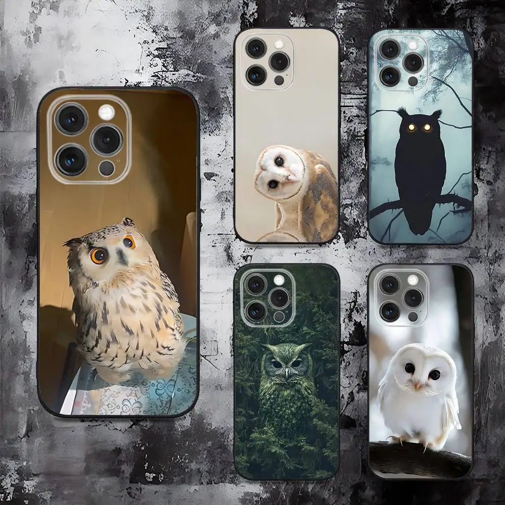 Lovely Animal Owl Phone Case For iPhone 16,15,14,13,12,11,Pro,Max,Plus,X,XS,SE,E,Mini,Soft Silicone Black Case
Lovely Animal Owl Phone Case For iPhone 16,15,14,13,12,11,Pro,Max,Plus,X,XS,SE,E,Mini,Soft Silicone Black Case
