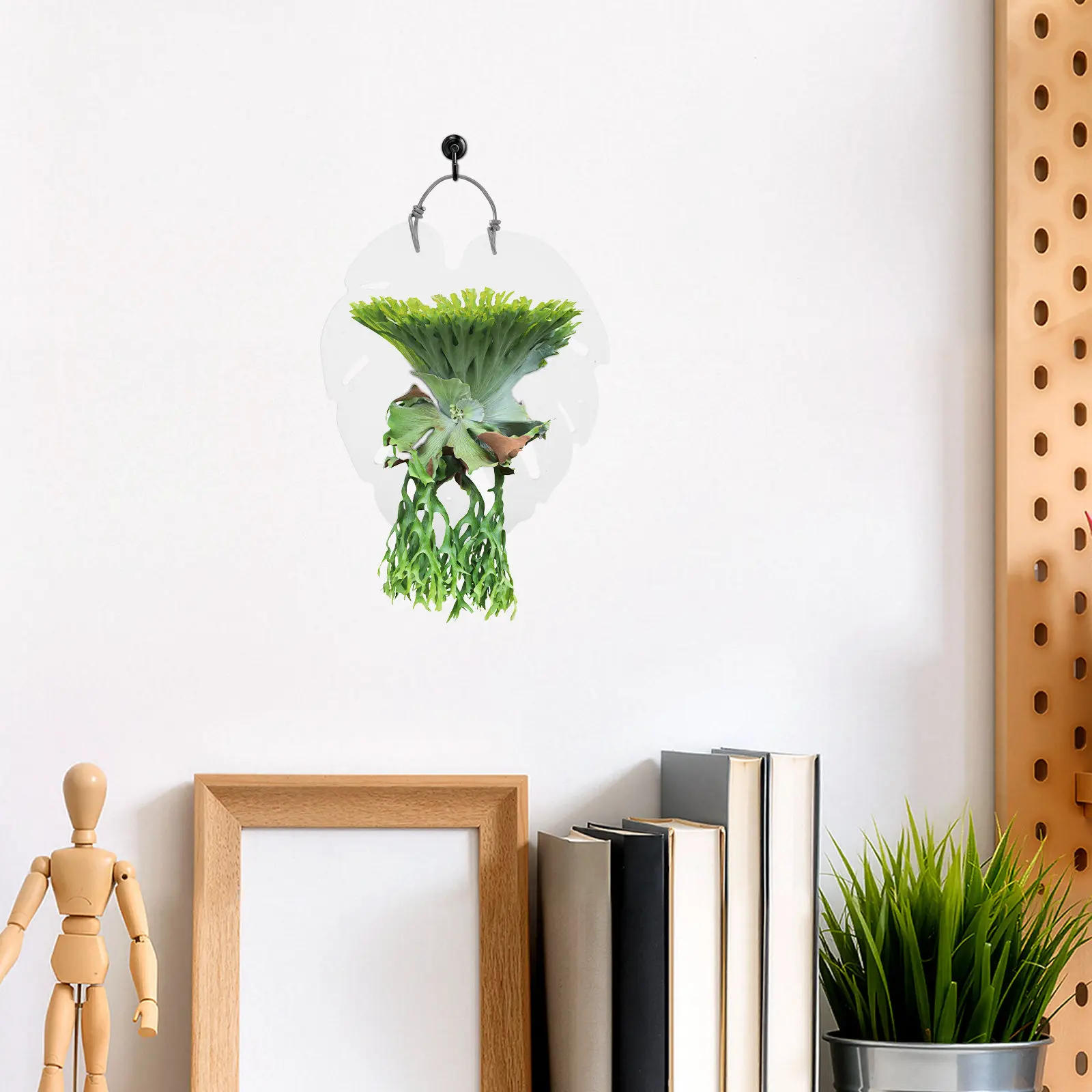 Acrylic Fern Plaque Wall Planter for Vertical Garden Decor Orchid Mounting Board Hanging Plant Wall Display Air Plant Succulent
Acrylic Fern Plaque Wall Planter for Vertical Garden Decor Orchid Mounting Board Hanging Plant Wall Display Air Plant Succulent