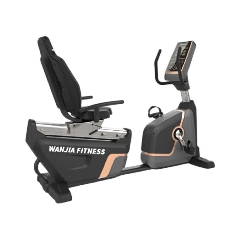 Recumbent Exercise Bike For Home & Commercial Gym Use Magnetic Resistance Cardio Fitness Training Bike Wholesale Price
Recumbent Exercise Bike For Home & Commercial Gym Use Magnetic Resistance Cardio Fitness Training Bike Wholesale Price