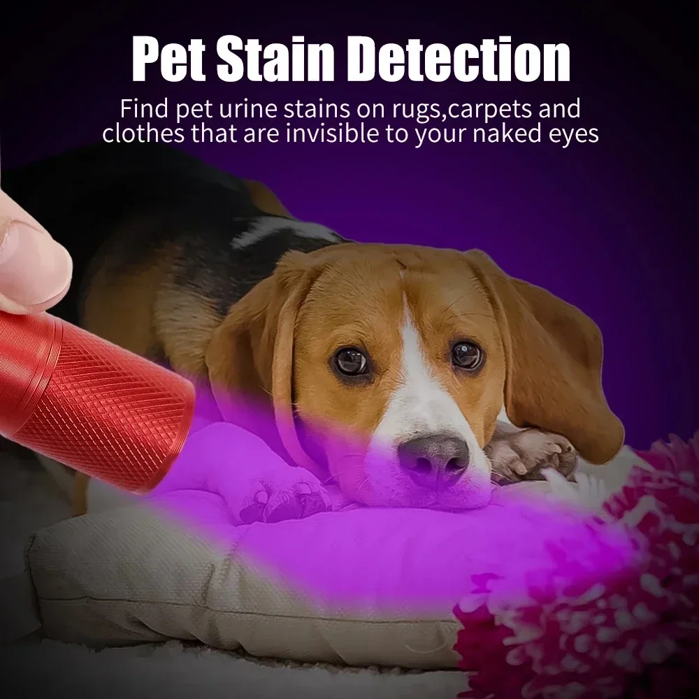 9LED Black Light Flashlights Mini UV Flashlight Battery Power Ultraviolet Torch for Pet Dog Urine Stains Detector Scorpion Hunt
9LED Black Light Flashlights Mini UV Flashlight Battery Power Ultraviolet Torch for Pet Dog Urine Stains Detector Scorpion Hunt