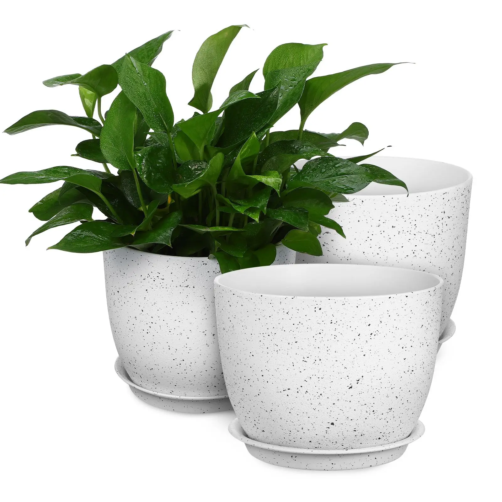 3 Pcs Breathable Flower Pot with Saucers Indoor Plant Pots Plastic Garden Nursery PP Material Sturdy Lightweight Delicate White
3 Pcs Breathable Flower Pot with Saucers Indoor Plant Pots Plastic Garden Nursery PP Material Sturdy Lightweight Delicate White