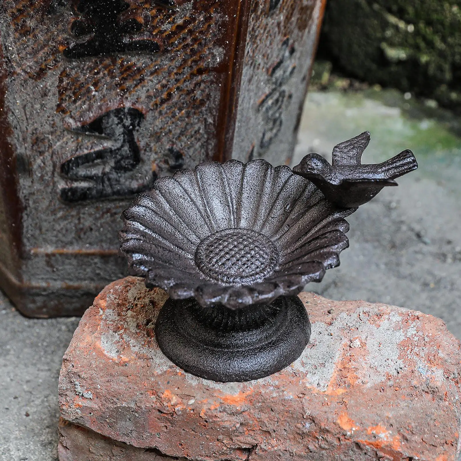 Cast Iron Bath Bowl Metal bath Feeder Dish, Flower Shaped Yard Ornament for Courtyard, Patio, Outdoor Decor
Cast Iron Bath Bowl Metal bath Feeder Dish, Flower Shaped Yard Ornament for Courtyard, Patio, Outdoor Decor