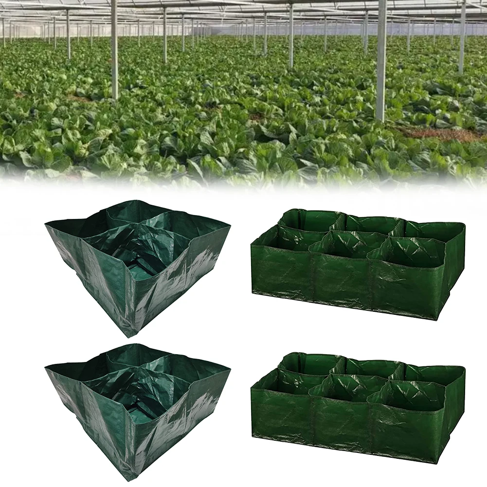 2PCS 4-grid/6-grid Plant Growing Bags Portable Plant Planting Divider Bag With Drainage System For Growing Vegetables Potatoes
2PCS 4-grid/6-grid Plant Growing Bags Portable Plant Planting Divider Bag With Drainage System For Growing Vegetables Potatoes