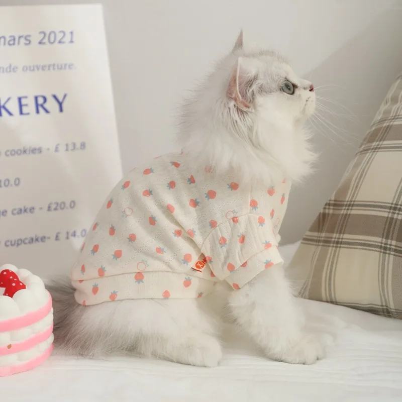 2023 New Vest Summer Pet Clothing Cat Beautiful Clothing Printed with Strawberry Thin Breathable Pet Clothing Free Shipping
2023 New Vest Summer Pet Clothing Cat Beautiful Clothing Printed with Strawberry Thin Breathable Pet Clothing Free Shipping