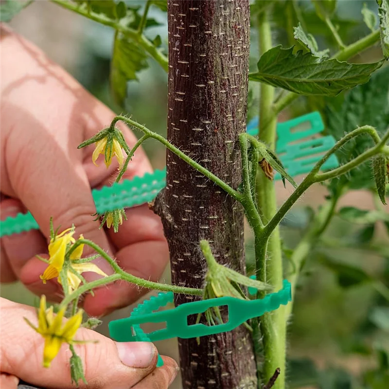 B28C-200 Pieces Adjustable Garden Plant Twist Ties, Reusable Green Garden Ties Gardening Ties, Reusable Garden Plant Twist Durab
B28C-200 Pieces Adjustable Garden Plant Twist Ties, Reusable Green Garden Ties Gardening Ties, Reusable Garden Plant Twist Durab