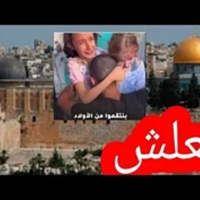 1 шт. 35 мм металлический Rc 25 т зубчатый рулевой сервопривод для 1/10 Rc гусеничный автомобиль Trxs осевые радиоуправляемые автозапчасти
1 шт. 35 мм металлический Rc 25 т зубчатый рулевой сервопривод для 1/10 Rc гусеничный автомобиль Trxs осевые радиоуправляемые автозапчасти