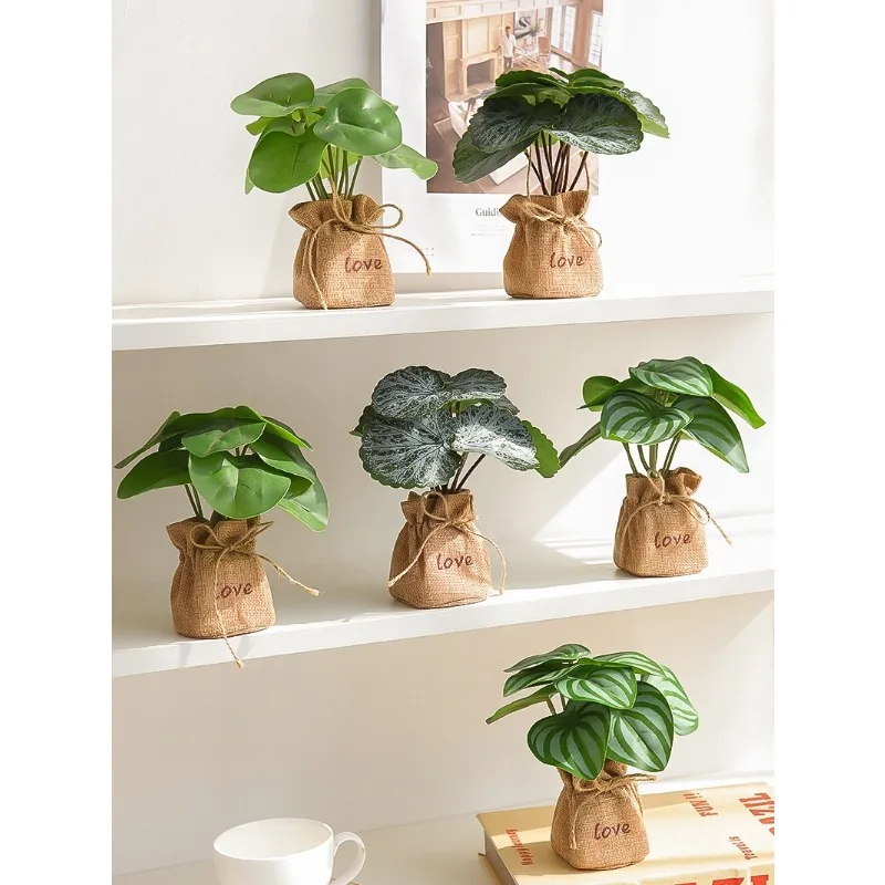 Instagram Style Simulation Green Plant Potted Living Room Decoration Office Desktop Artificial Flower Decoration
Instagram Style Simulation Green Plant Potted Living Room Decoration Office Desktop Artificial Flower Decoration