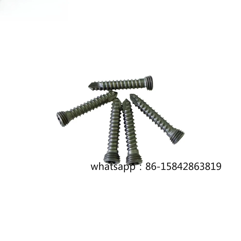 10pcs 3.5mm Titanium Locking Screw, Mascotas Veterinary Orthopedics Implant, Surgical Instruments, Pet Products, Dog Accessories
10pcs 3.5mm Titanium Locking Screw, Mascotas Veterinary Orthopedics Implant, Surgical Instruments, Pet Products, Dog Accessories