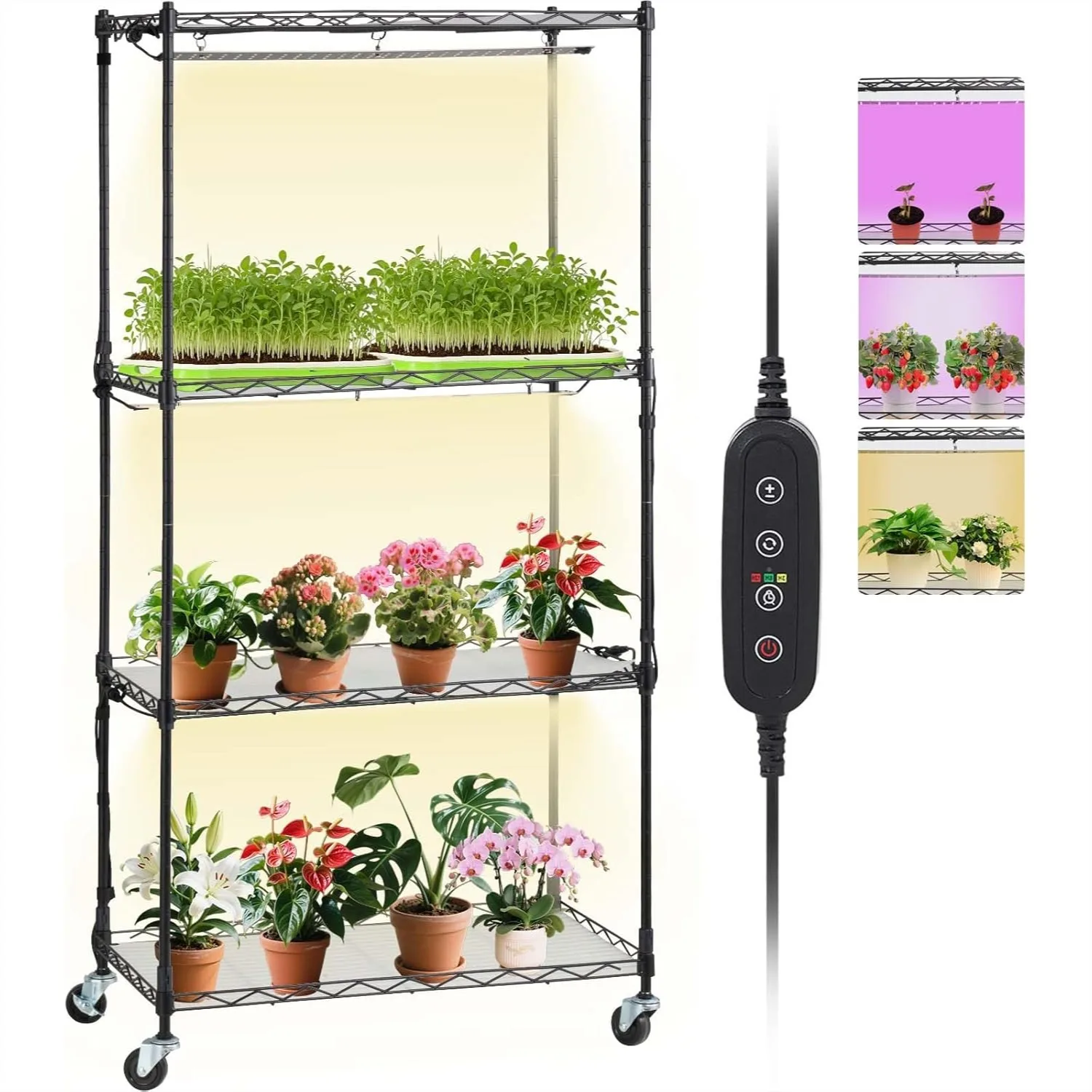 4-Tier Plant Stand with Grow Light, 45W Full Spectrum LED Plant Shelf with Timer and Wheels, Metal Plant Rack for Indoor Plants
4-Tier Plant Stand with Grow Light, 45W Full Spectrum LED Plant Shelf with Timer and Wheels, Metal Plant Rack for Indoor Plants
