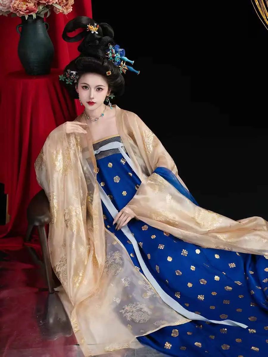 Women's Hanfu Dress, Traditional Chinese Tang Dynasty Ancient Costume, Female Cosplay Costume Dark-blue/Champagne Hanfu Dress
Women's Hanfu Dress, Traditional Chinese Tang Dynasty Ancient Costume, Female Cosplay Costume Dark-blue/Champagne Hanfu Dress