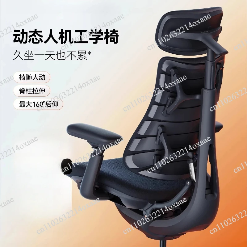 Relaxing Dynamic Ergonomic Chair Human Body Ergonomic Chair Computer
Relaxing Dynamic Ergonomic Chair Human Body Ergonomic Chair Computer