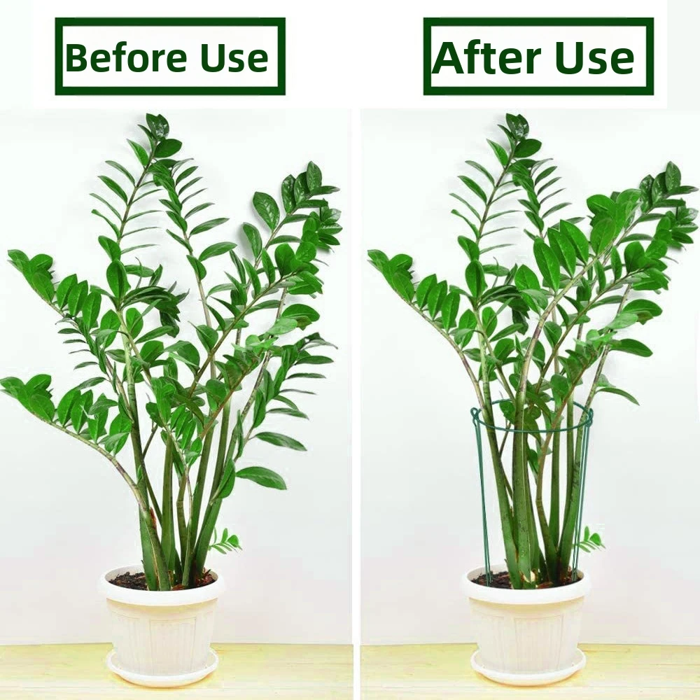 2PCS U-Shaped Plant Support Stakes Half-Ring Prevent Lodging Flower Support Rack Plastic Rust-Resistant Plant Climbing Trellis
2PCS U-Shaped Plant Support Stakes Half-Ring Prevent Lodging Flower Support Rack Plastic Rust-Resistant Plant Climbing Trellis