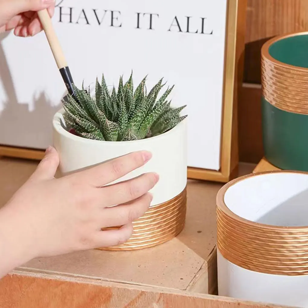 Durable Ceramic Succulent Pot For Plant Enthusiasts Ceramic Plant Pot Flower Pot Home Decor
Durable Ceramic Succulent Pot For Plant Enthusiasts Ceramic Plant Pot Flower Pot Home Decor