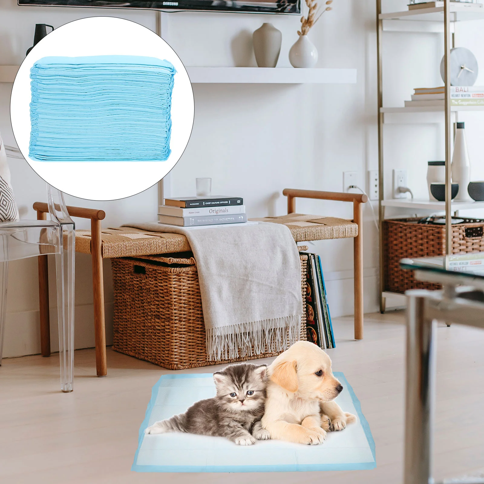 20 Pcs Water Absorbent Pads Pet Pee Mat Diapers Training Blue Non-woven Fabric for
20 Pcs Water Absorbent Pads Pet Pee Mat Diapers Training Blue Non-woven Fabric for