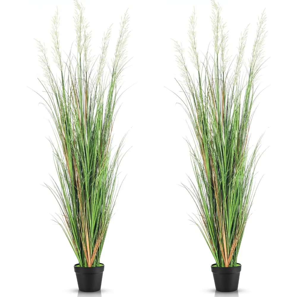 2 Artificial Grass Potted Plants with A Height of 6 Feet, Artificial Green Flooring Plants, Artificial Grass Tall Potted Plants 
2 Artificial Grass Potted Plants with A Height of 6 Feet, Artificial Green Flooring Plants, Artificial Grass Tall Potted Plants
