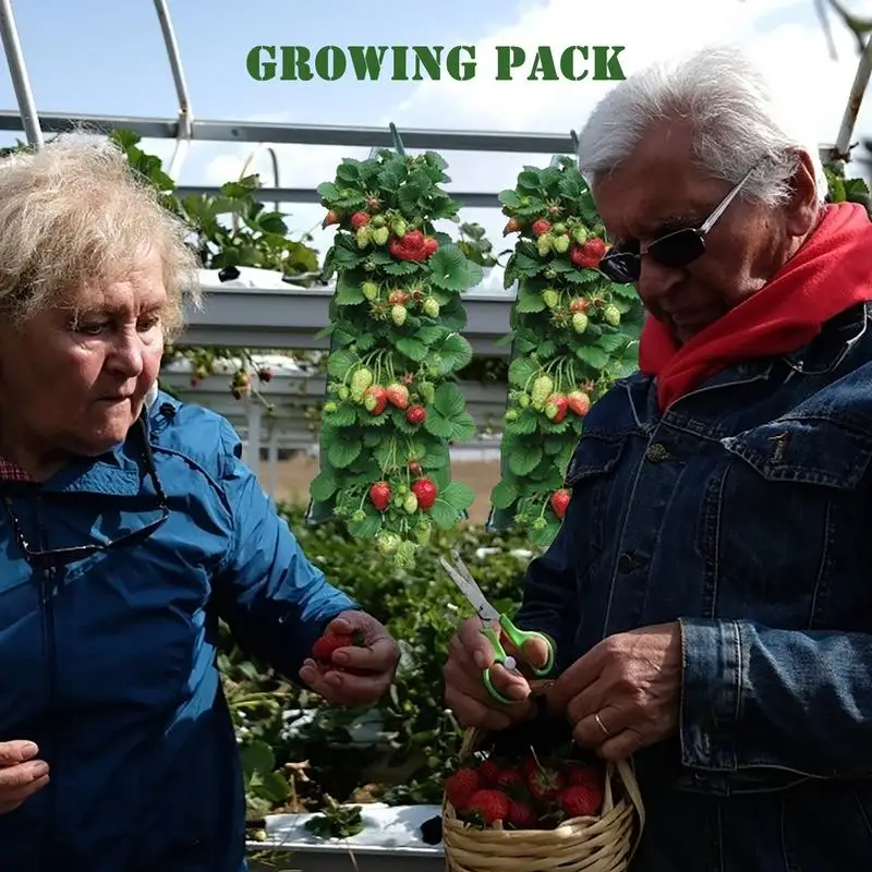 Hanging Grow Bag Strawberry Flower Planter Pots Vertical Garden Vegetable Planting Pots Indoor Outdoor Thickened Garden Bags
Hanging Grow Bag Strawberry Flower Planter Pots Vertical Garden Vegetable Planting Pots Indoor Outdoor Thickened Garden Bags